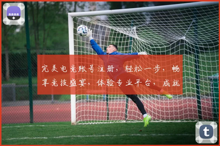 完美电竞账号注册，轻松一步，畅享竞技盛宴，体验专业平台，成就电竞达人