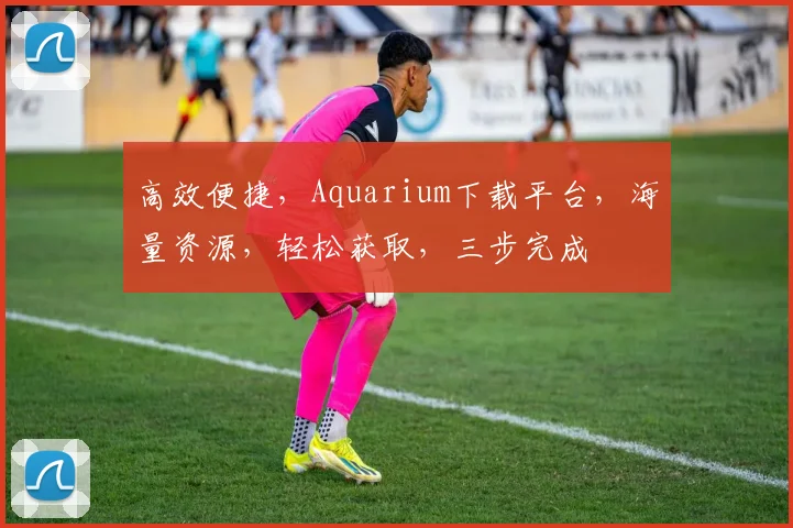高效便捷，Aquarium下载平台，海量资源，轻松获取，三步完成