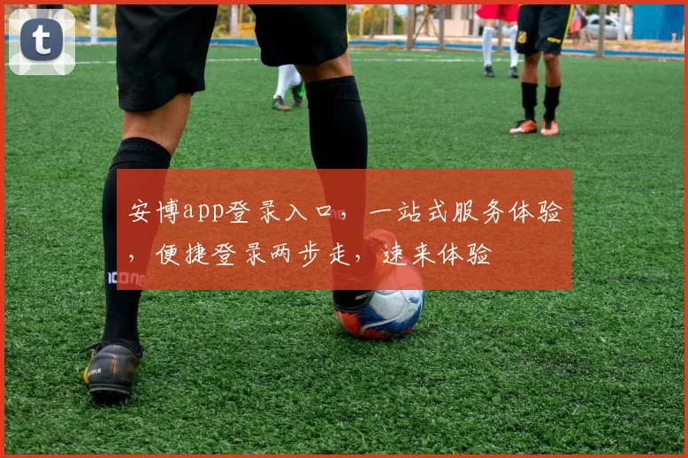 安博app登录入口，一站式服务体验，便捷登录两步走，速来体验